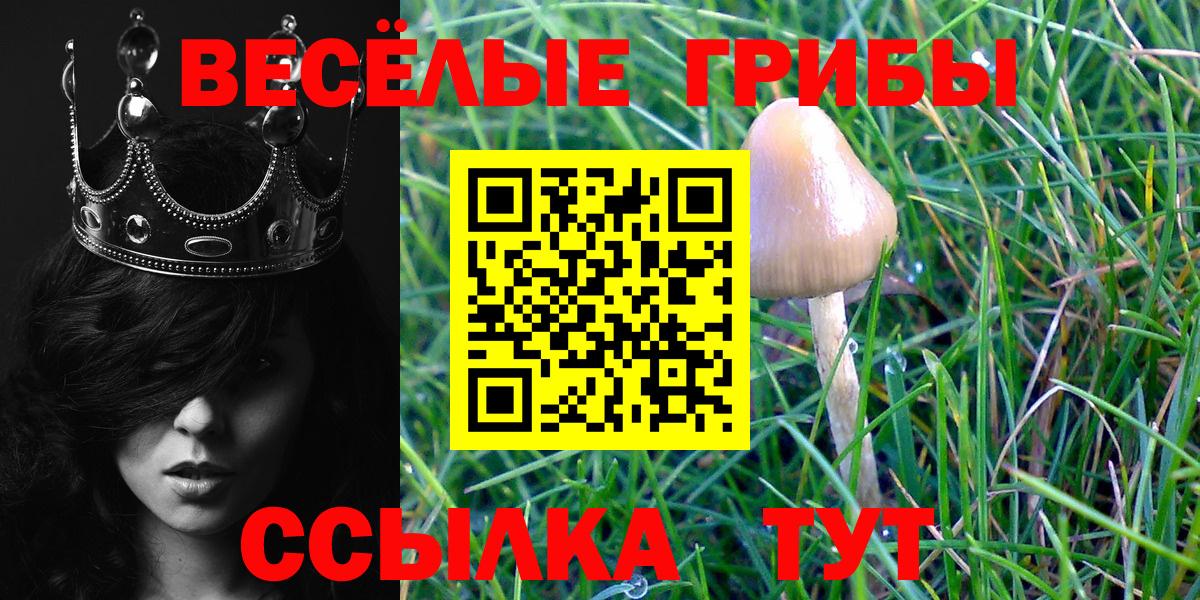 Галлюциногенные грибы мухоморы Тихвин