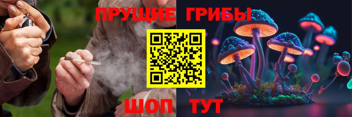 Тихвин  Псилоцибиновые грибы мицелий  Вход с VPN 